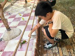 -上海大自然野生昆虫馆(东方明珠·爬宠昆虫探索中心)