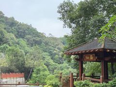 -广州白江湖森林公园