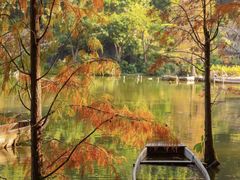 -深圳仙湖植物园