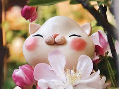 -创艺无限·赵春香微妙艺术馆