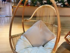 -Husky Go! 哈士奇体验馆·宠物咖啡厅狗咖