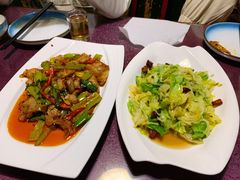 美味手撕包菜-毛草房(南辛庄街店)