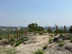 -白水寺森林公园