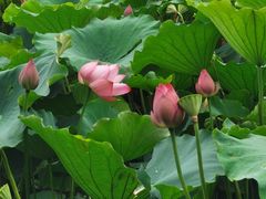 -山旮旯农家菜(曲江店)