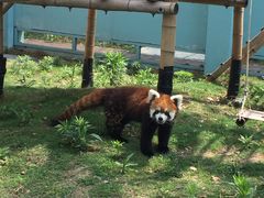 -无锡动物园·太湖欢乐园