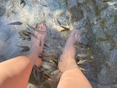 -碧水湾温泉