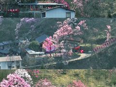 -九皇山景区