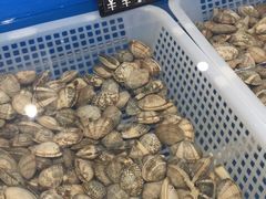 -盒马鲜生(大成店)