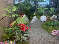 -山东八大碗山东老字号