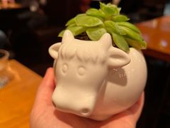 -FAT COW(虹梅路店)