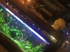 -听香·678茶铺(猛追湾店)