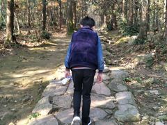 -冶父山国家森林公园