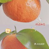 橙与桔的狂想曲[爱心]