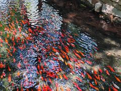 -水磨沟公园