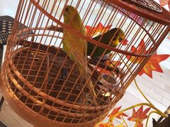 -老湘亲·品鉴湘菜(蔡塘爱琴海店)