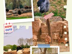 -北京野生动物园