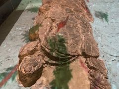 -白鹤梁水下博物馆