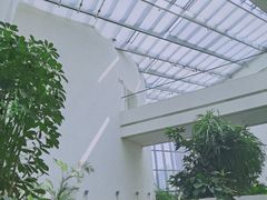 -上海宝龙美术馆