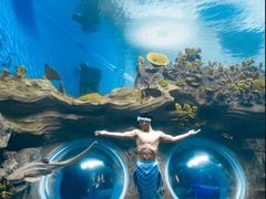 -石家庄极地海洋世界