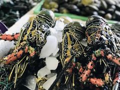 -金巴兰鱼市场