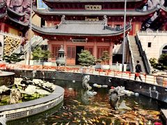 -上海东林寺(金山区)