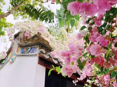 -深圳国际园林花卉博览园