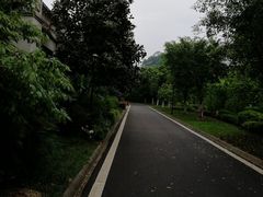 -重庆长寿碧桂园凤悦凤凰酒店
