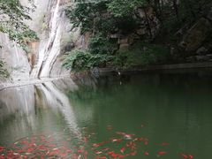 -北京上方山国家森林公园