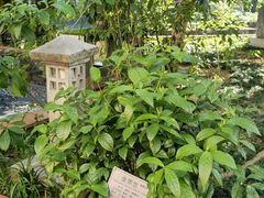 -广州神农草堂中医药博物馆