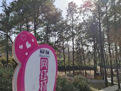 -南京枫彩漫城