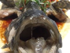 -梓程海鲜大酒家