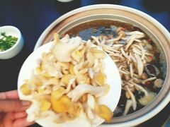 -东巴谷野生菌火锅餐厅