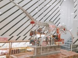 -宝燕乐园(春申店)