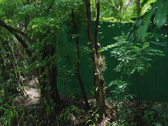 -人民公园(罗湖区)