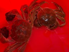 -阳澄湖大闸蟹·琼灵阁牌品牌连锁(吴中总店)