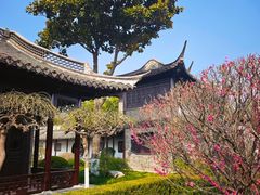 -梅园