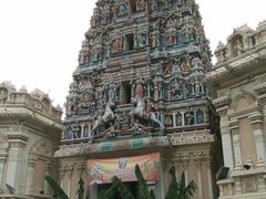 -罗汉果龙眼冰糖燉冬瓜