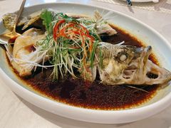 -喜粤8号(四海唐人街店)