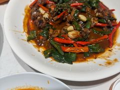 -杨氏青龙虾·羊蝎子(托乐嘉店)