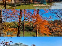 -中国科学院华南植物园