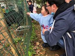 -武汉开心果园农业发展有限公司