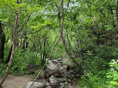 -玉渡山自然风景区