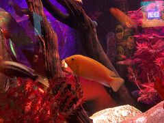 -沈阳海洋探索中心