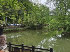 -雅安上里古镇