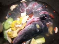 -鲜潭蒸汽石锅鱼(五道口购物中心店)