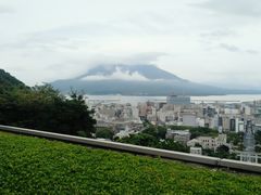 -振鼎鸡(丰庄路店)