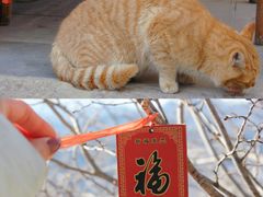 -司马台长城