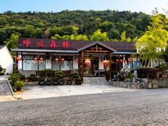 -呼吸森林·生态农庄农家乐私房菜