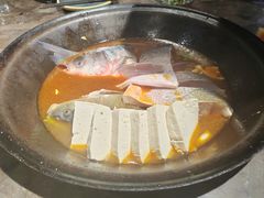 -肥鱼屯活鱼锅(惠工街店)