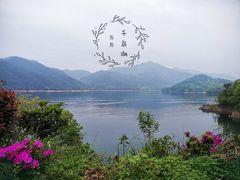 -千岛湖东南湖区